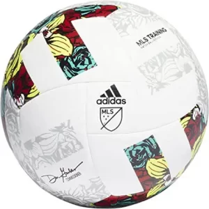 Best Soccer Balls for Training